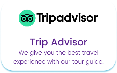 TripAdvisor