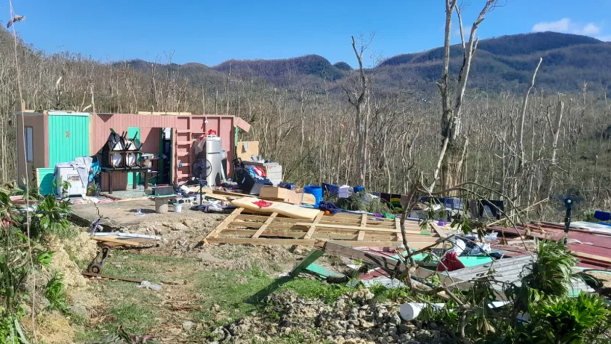 Creative Resilience in Times of Crisis